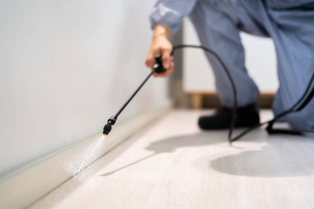Licensed Pest Control service in Camanche North Shore, CA - Nex Pest Control