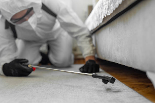 Professional Pest Control technician working in Camanche North Shore, CA