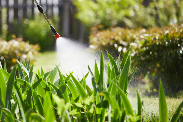24/7 Emergency Fumigation Services experts in Camanche North Shore, CA
