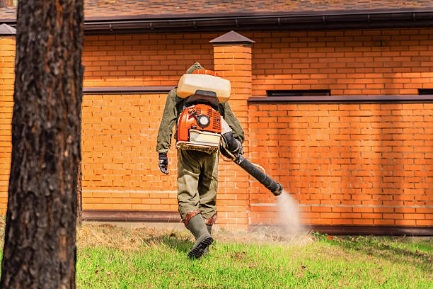 Trusted Bed Bug Control service in Camanche North Shore, CA - Nex Pest Control